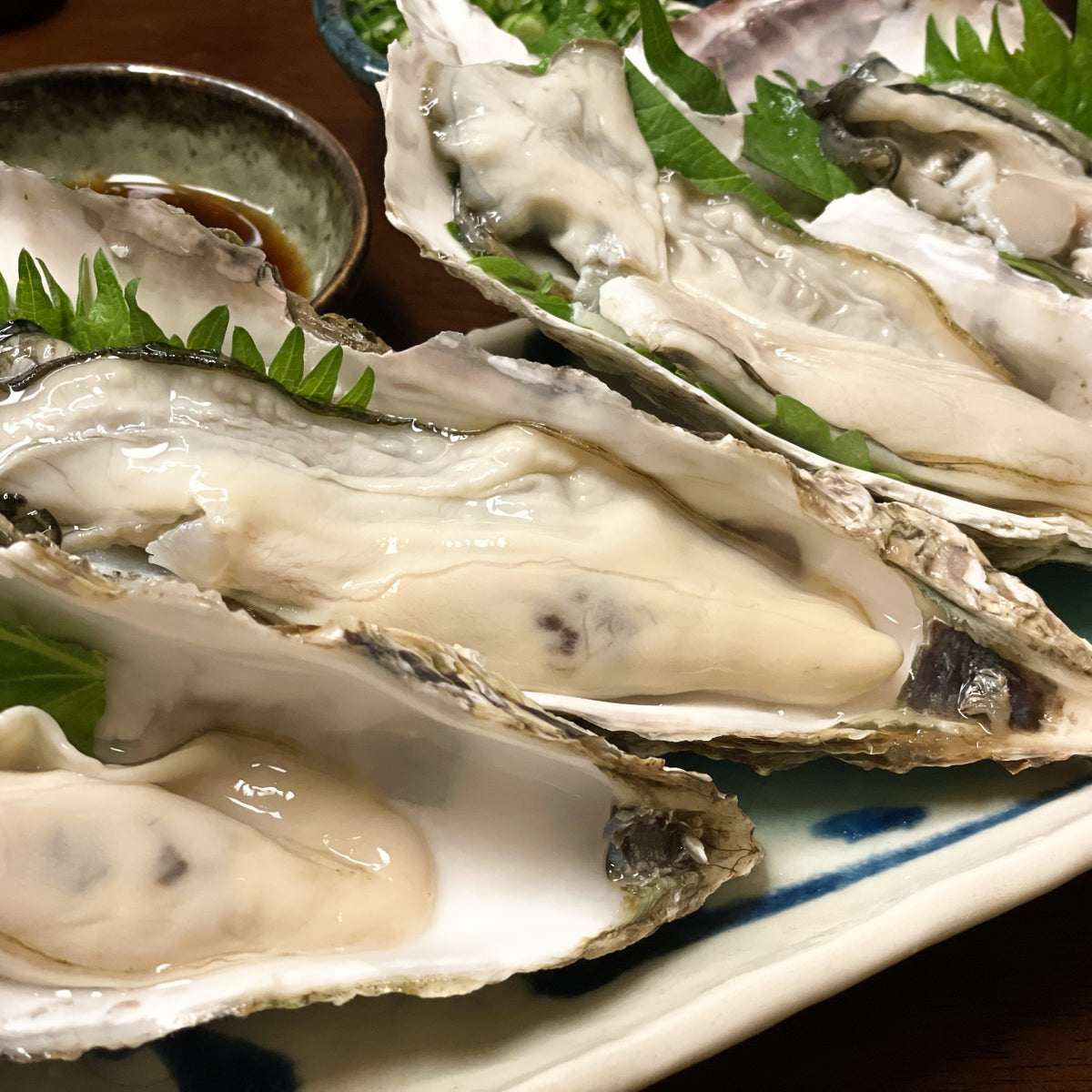 牡蠣たん 宮城・志津川産の牡蠣をご紹介🦪✨ 小ぶりだけど、身が締まっ