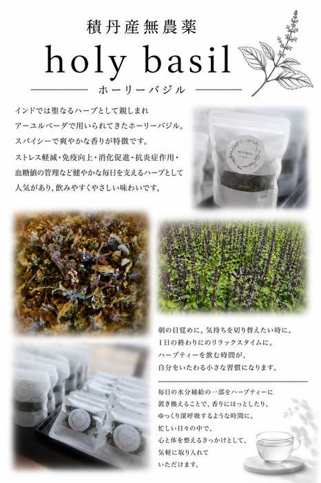 積丹産無農薬ハーブティ（ホーリーバジル）